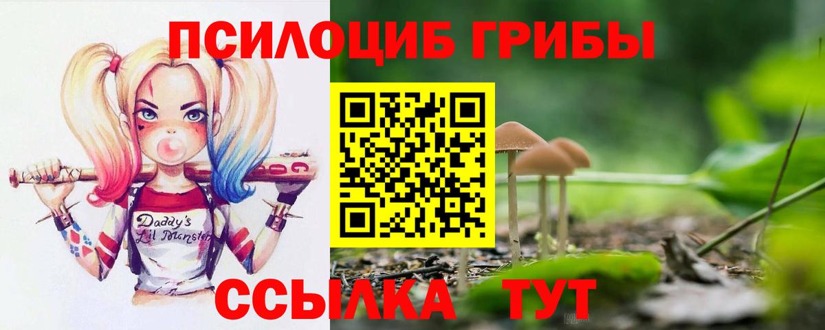 Галлюциногенные грибы MAGIC MUSHROOMS  где продают наркотики  Аксай  Вход с VPN 