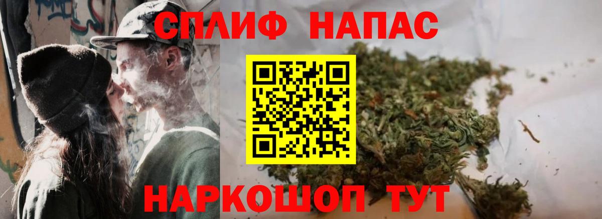 Канабис гибрид Аксай